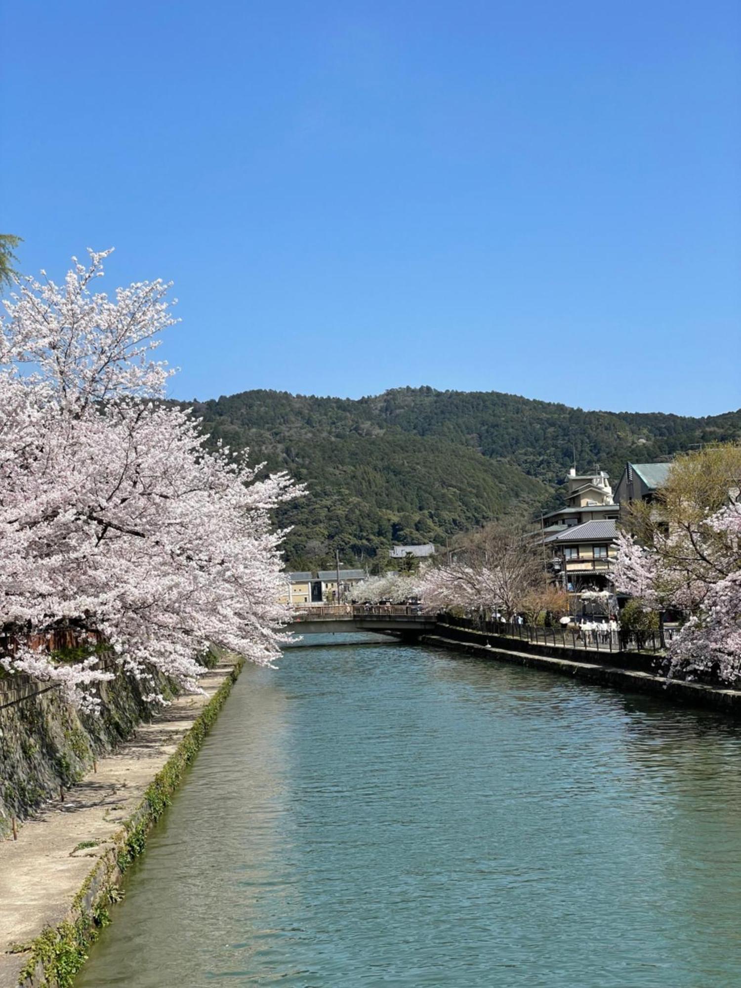 Hotel Amanek Kyoto Kawaramachi Gojo Eksteriør billede