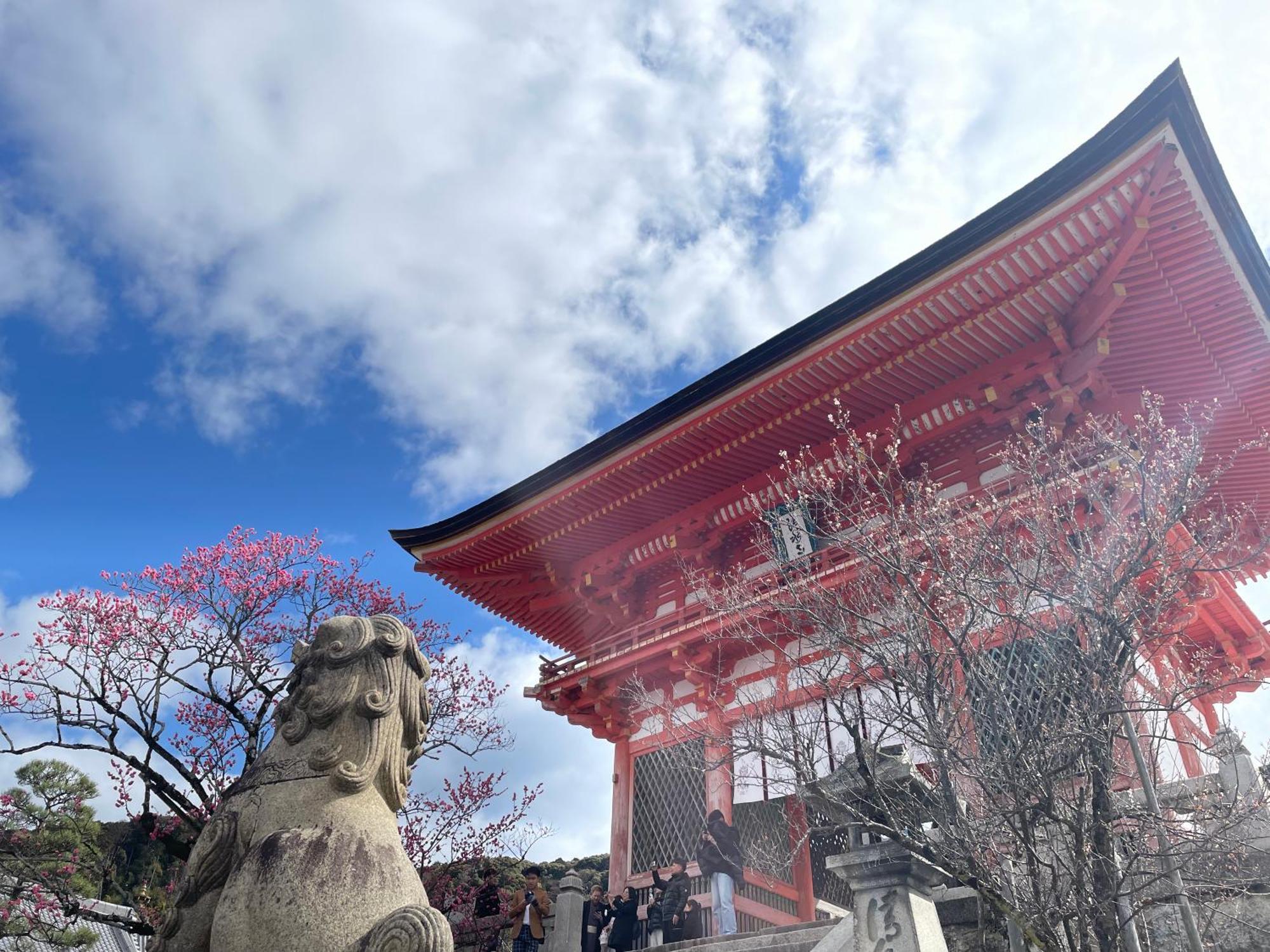 Hotel Amanek Kyoto Kawaramachi Gojo Eksteriør billede