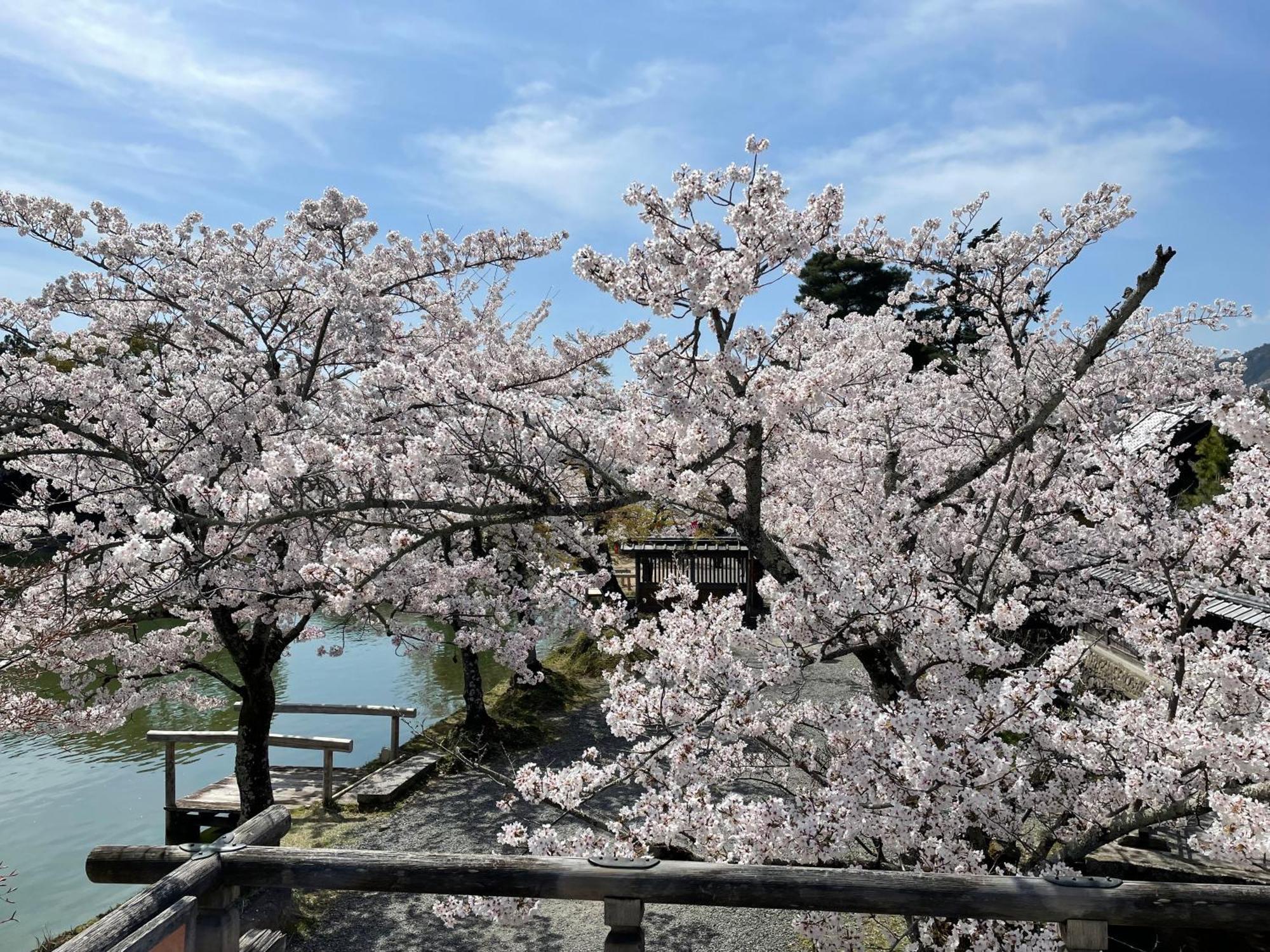 Hotel Amanek Kyoto Kawaramachi Gojo Eksteriør billede